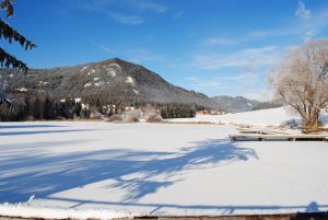 Grasluppteich im Winter