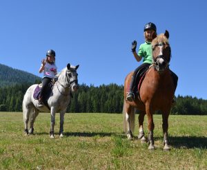 Reiten am (c) Schilcherhof